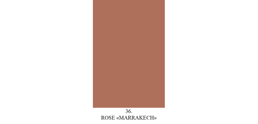 Rose Marrakech n° 36