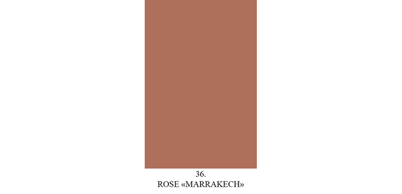 Rose Marrakech n° 36