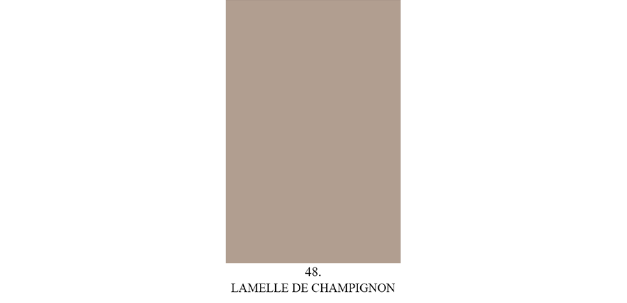 Lamelle de Champignon n° 48